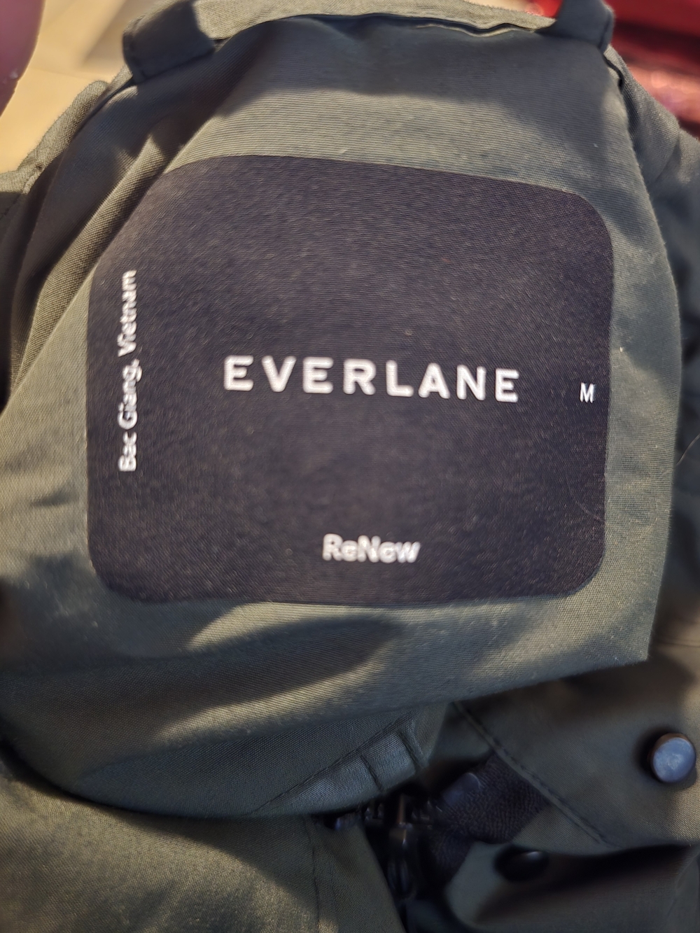 Everlane The City Anorak in a khaki green color with a structured hood - Picture 3 of 4